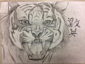 Hailee Chinese 